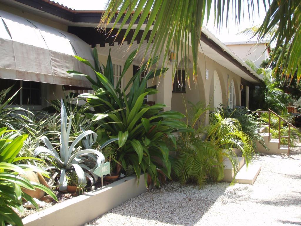 Bananas Apartments Adults Only Палм Бийч Екстериор снимка